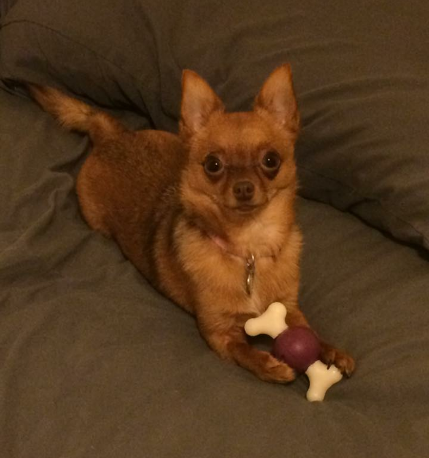 Pic of the Litter: Rosie MacDonald